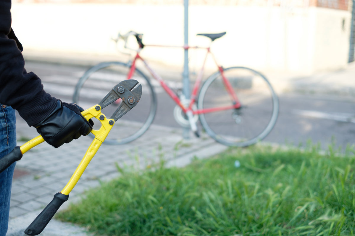 The Solution to Stolen Bicycles in Canada